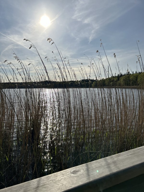 NOTER OG HVERDAGSGLIMT
