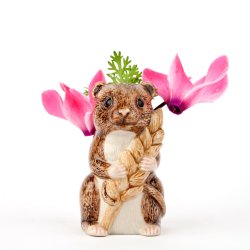 Quail Hst mus str. xs 