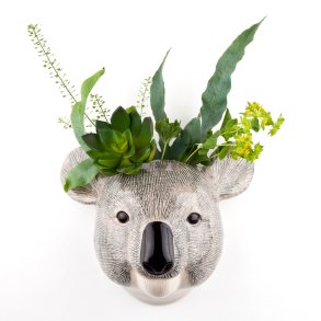 Quail WALL Vase - Koala