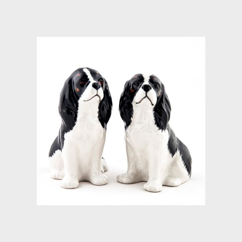 Salt&Peber st - Cavalier King Charles - black