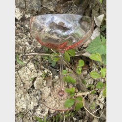 AnnavonLipa  - Champagneglas - rosa