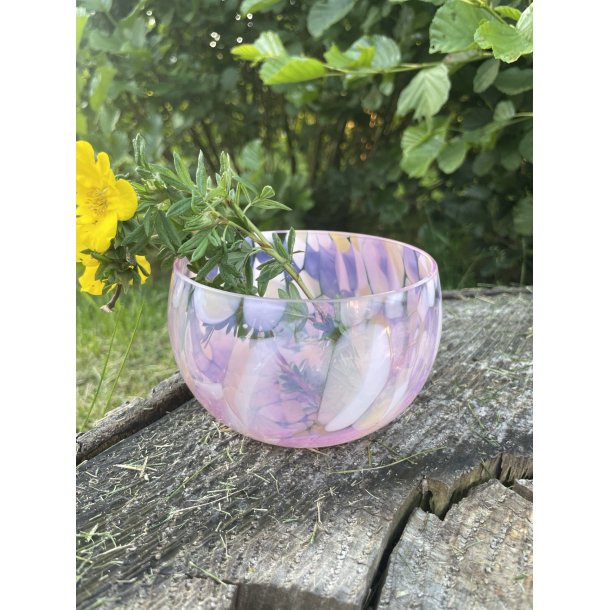 Tapas sk�l - Anna von Lipa - Apricot