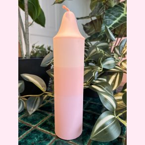 Bloklys aprikos/orange