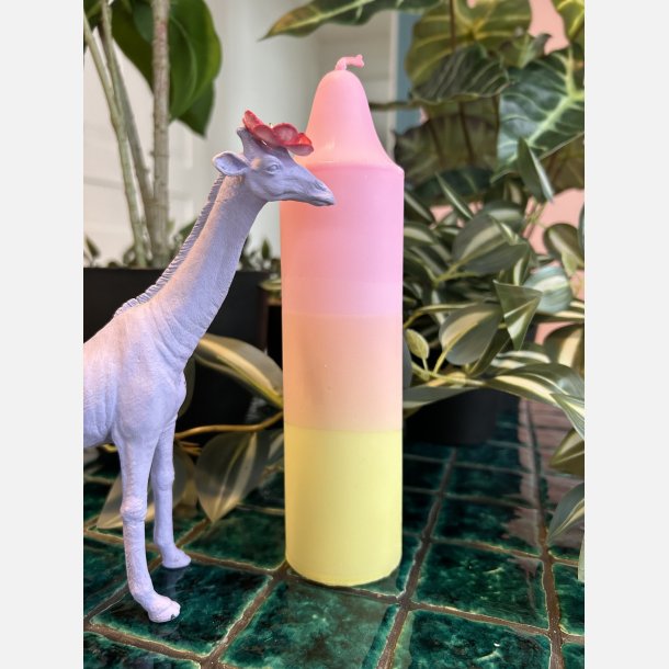 Choose your favorite