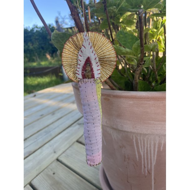 Oph�ng fra Sissel Edelbo